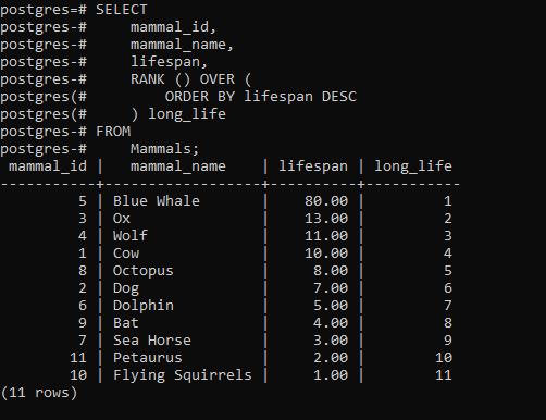 rank over partition by postgresql