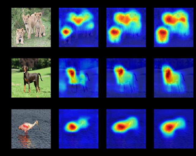 attention map vs. saliency map