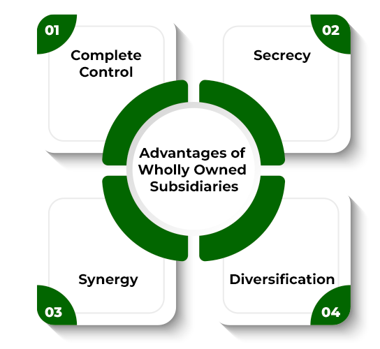 What is a Foreign Subsidiary? Advantages & Disadvantages