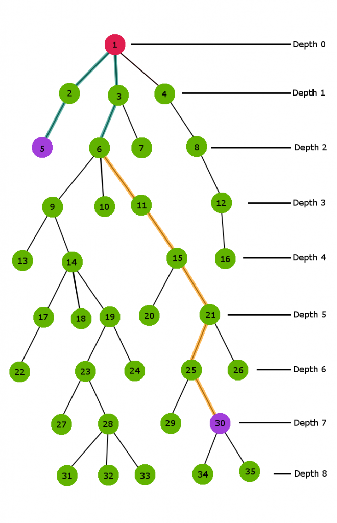 n-ary tree