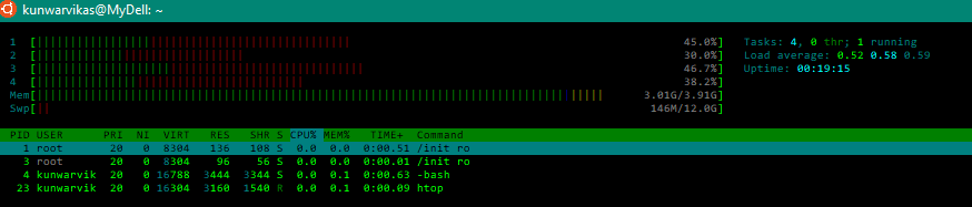 htop command