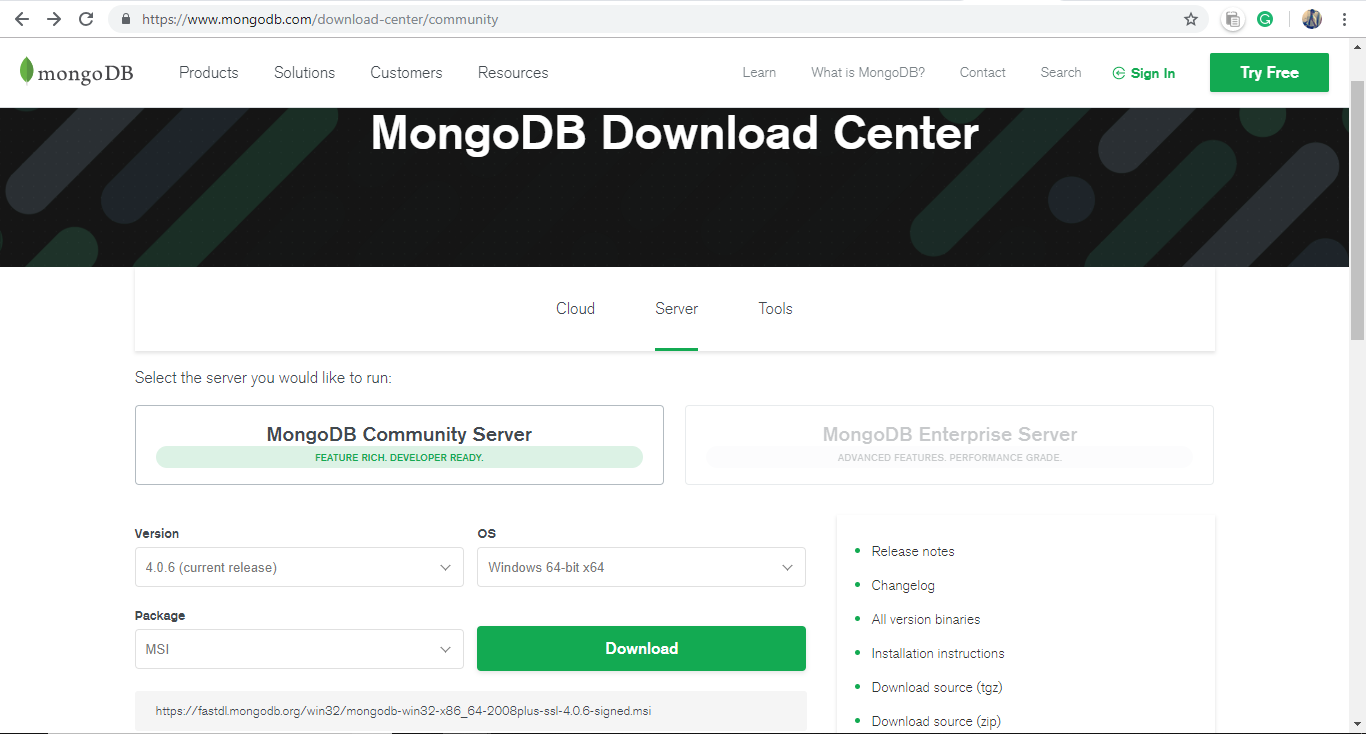 how to install mongodb on windows using npm