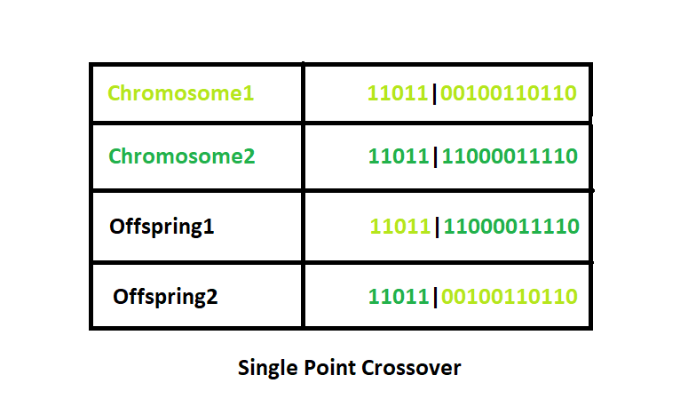 Chromosomal crossover Definition and Examples - Biology Online