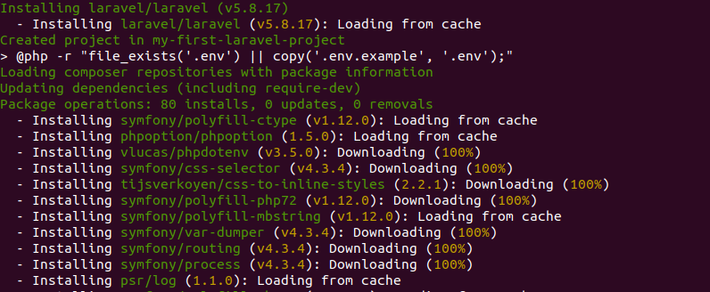 Composer require laravel. Please install Chrome stable 72 or later..