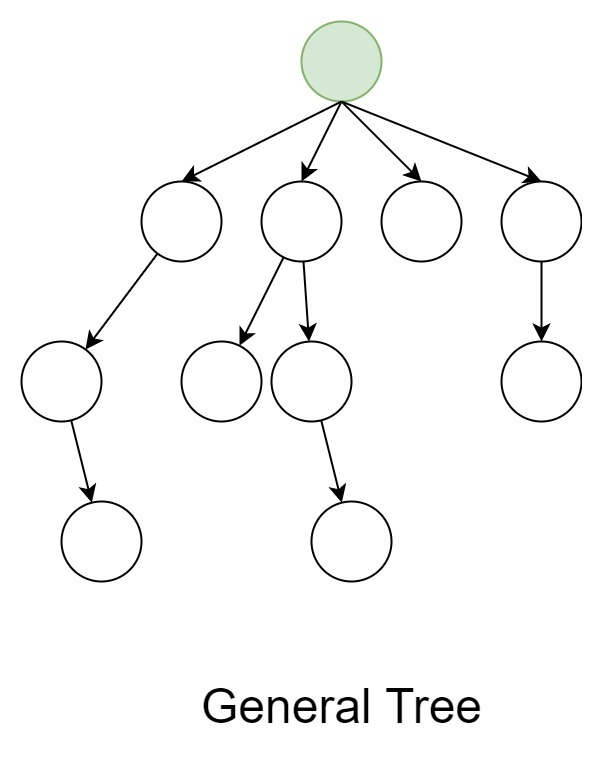 General Tree Definitions and Terminology