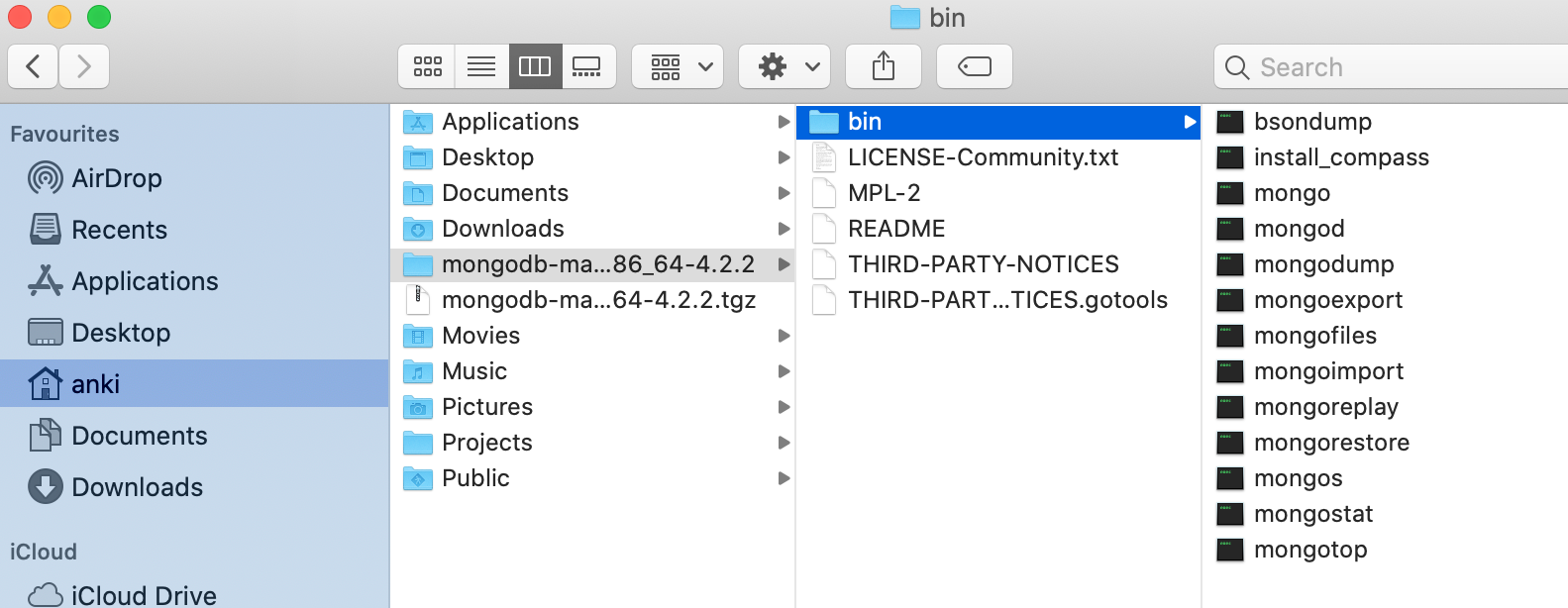 mongoDB-installation-unpacking-1