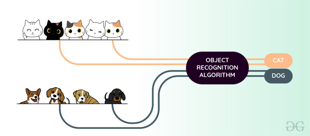 Object Detection Vs Object Recognition Vs Image Segmentation Geeksforgeeks