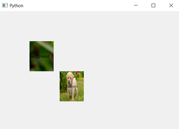 pyqt-label-image-skin
