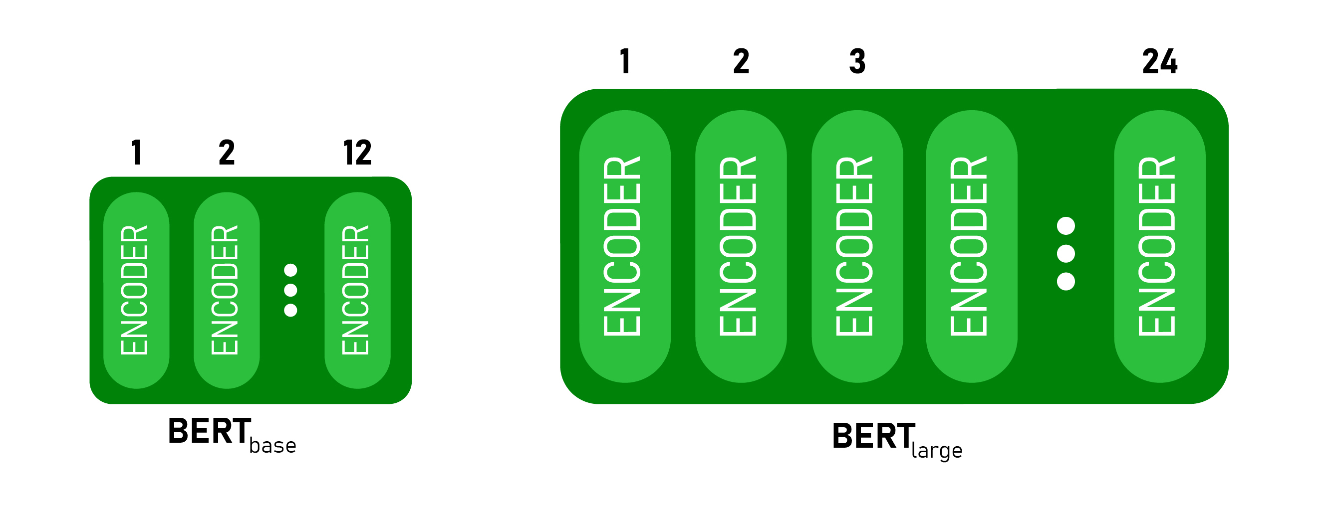 BERT Base and BERT Large