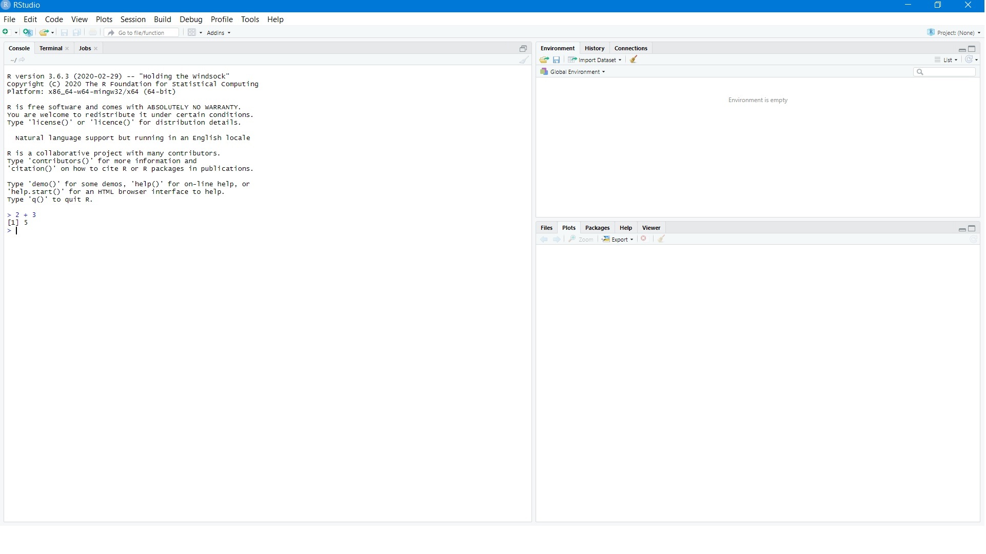 R console on Windows.