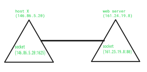 network socket