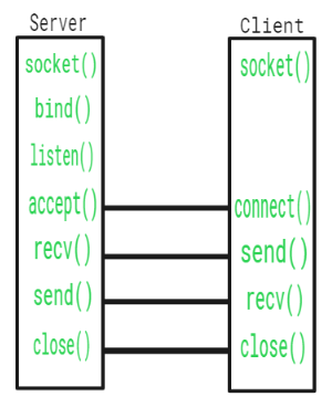 network socket