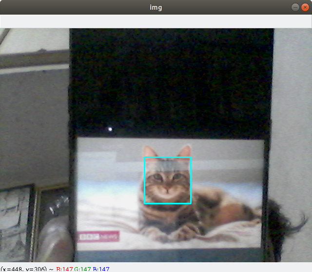 Opencv Implementation Of Cat Face Detection In Python Practice Images