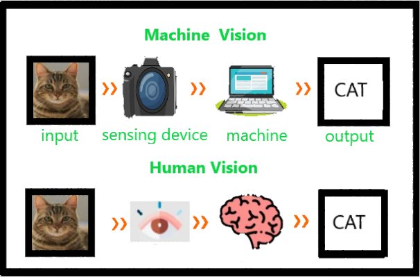 artificial intelligence computer vision