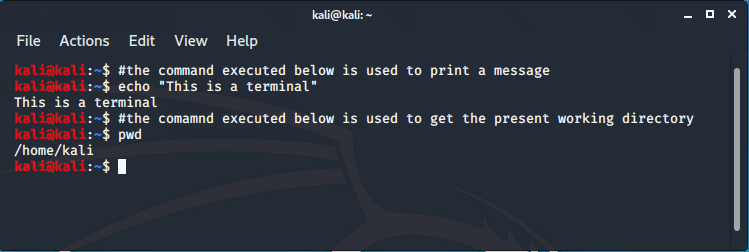 kali-terminal-basic-commands