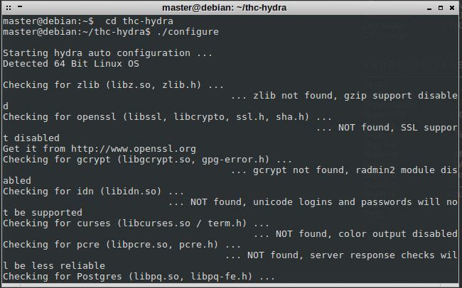 How to use the Hydra password-cracking tool