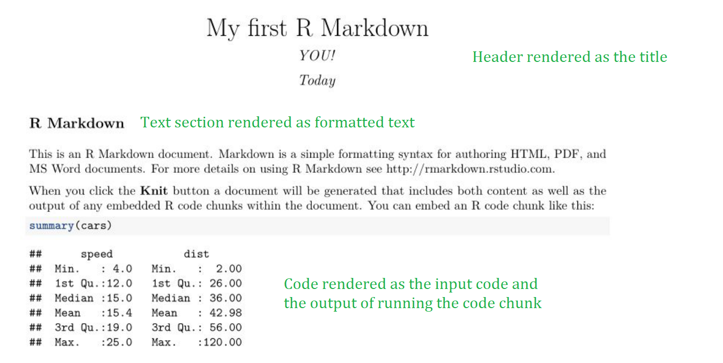 The rendered PDF you created by knitting your markdown file