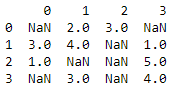 dataframe with NaN values