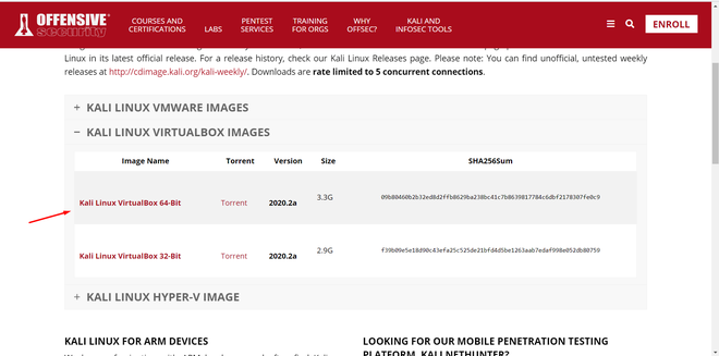 Downloading Kali Linux Virtual Box File