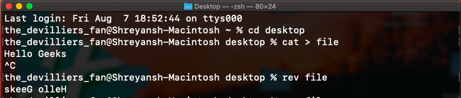 mac terminal commands display dns