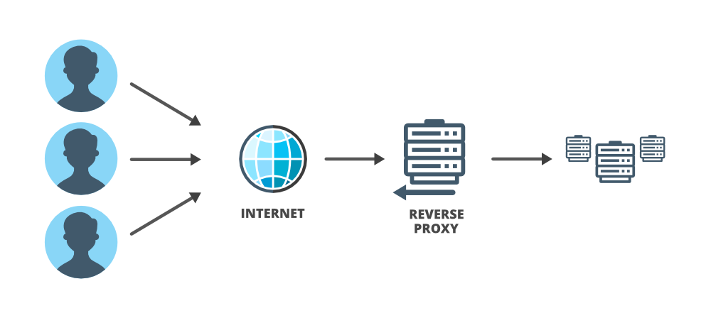 Reverse Proxy