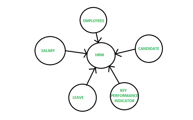 functions of human resource management