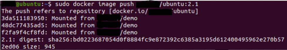 docker image push 