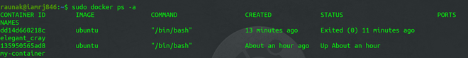 Docker ps Command