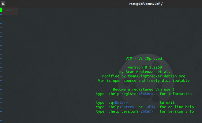 Vim Text Editor running inside Container