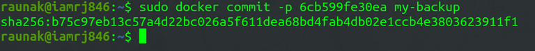 Backing up a Docker Container - GeeksforGeeks
