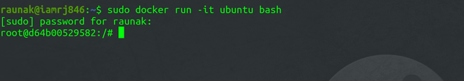 using bash command