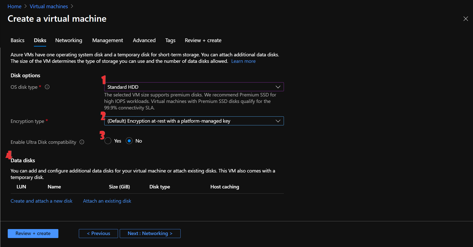 Fill out the details of the disk required for the virtual machine.