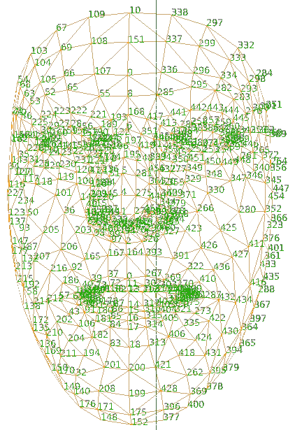 Face mesh detection, ML Kit