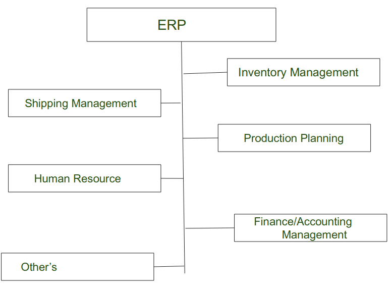 software oracle erp