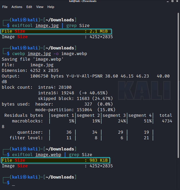 linux command line convert image format