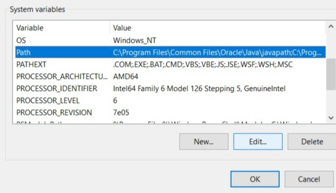 Pm2 in Path Windows.