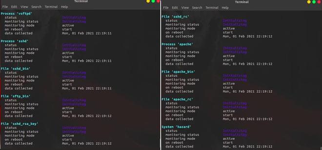 monit start stop daemon example