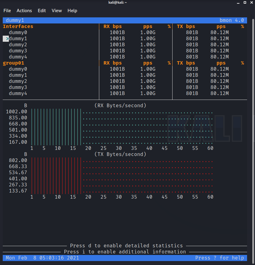 bmon interface