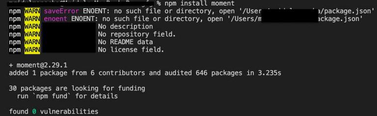 npm install package with version syntax