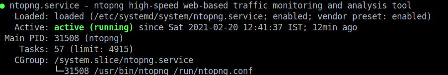 ntopng will not start