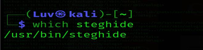 Installation of Steghide Tool in Linux