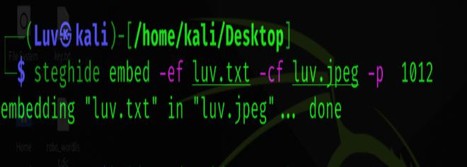 Installation of Steghide Tool in Linux & It's Guide