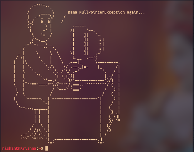 printing ascii art in terminal with characters