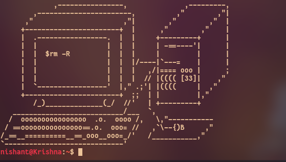 printing ascii art in terminal with characters