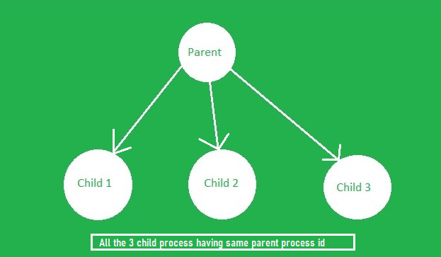 linux-how-to-find-all-child-process-of-a-parent-process-in-c