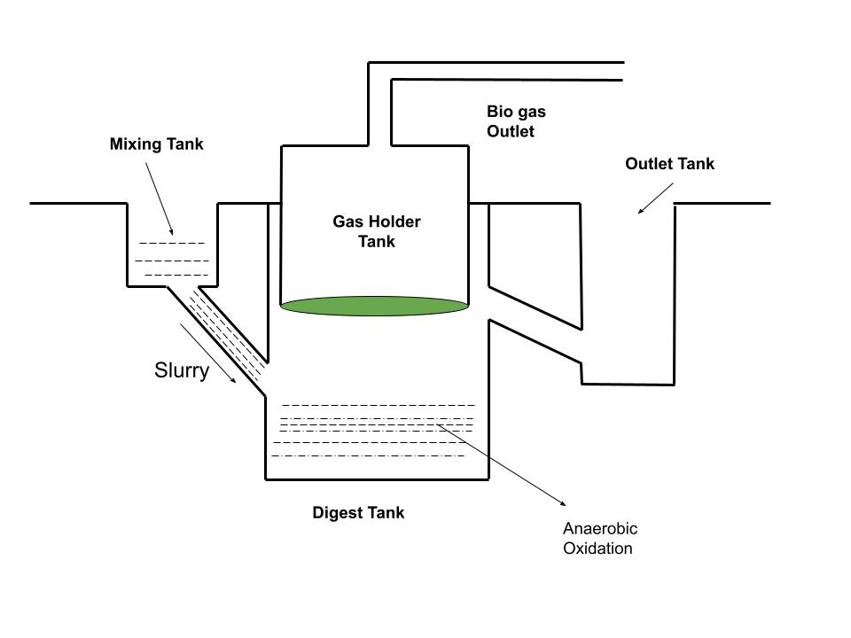 biomass fuel examples