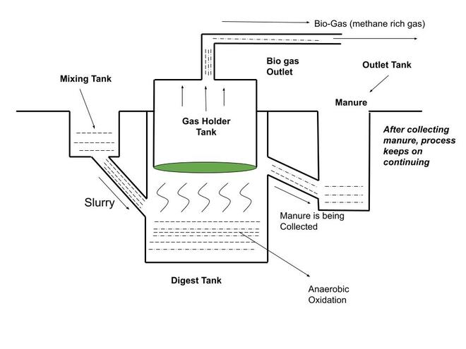 Biomass - GeeksforGeeks