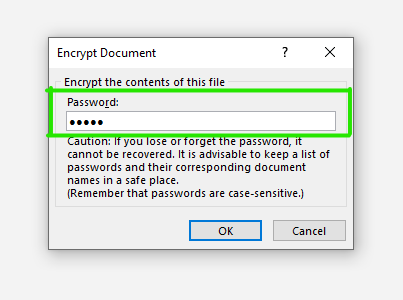 word document password protect editing