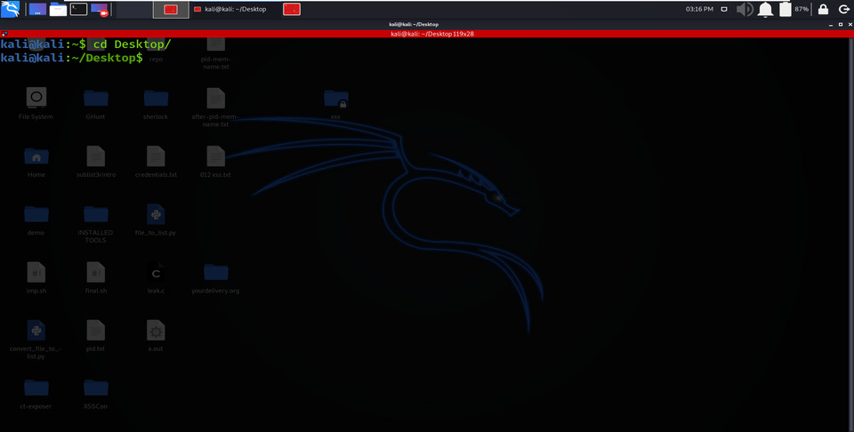 kali linux desktop