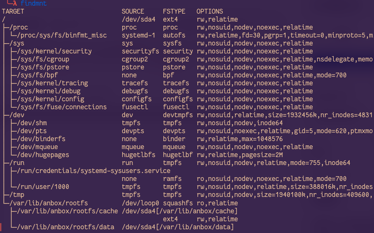 Linux File System Mount Option Findmnt - Find all mounted filesystems on Linux - GeeksforGeeks